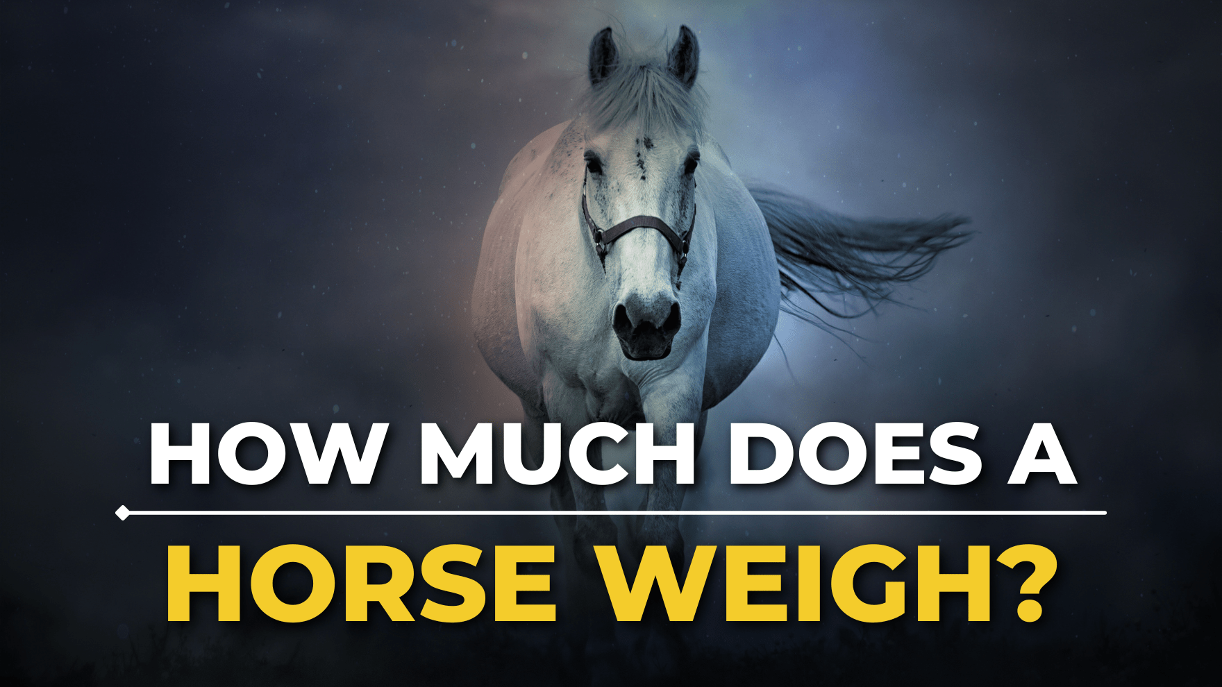 How Much Does a Horse Weigh?