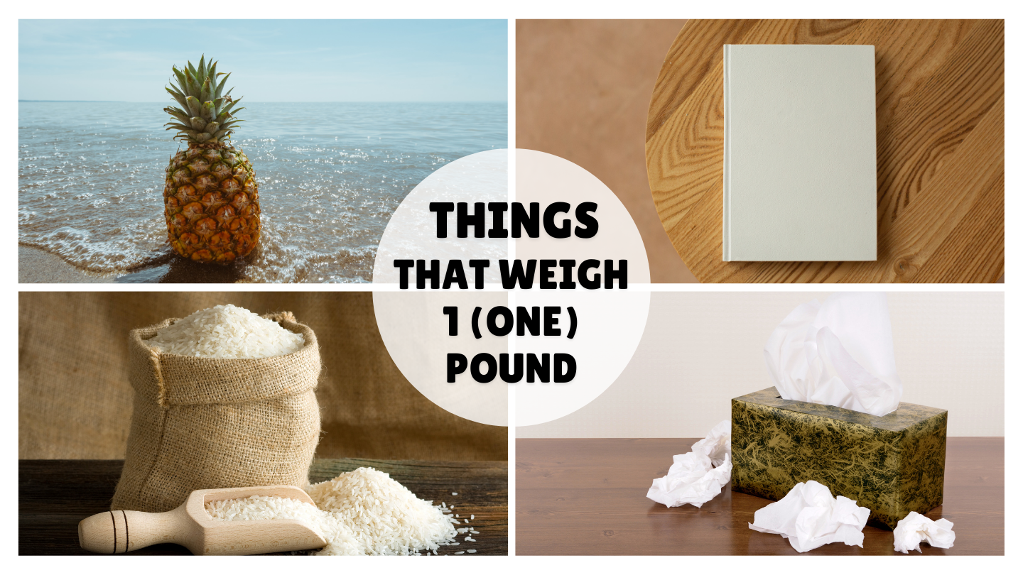 Huge List of Things That Weigh 1 Pound