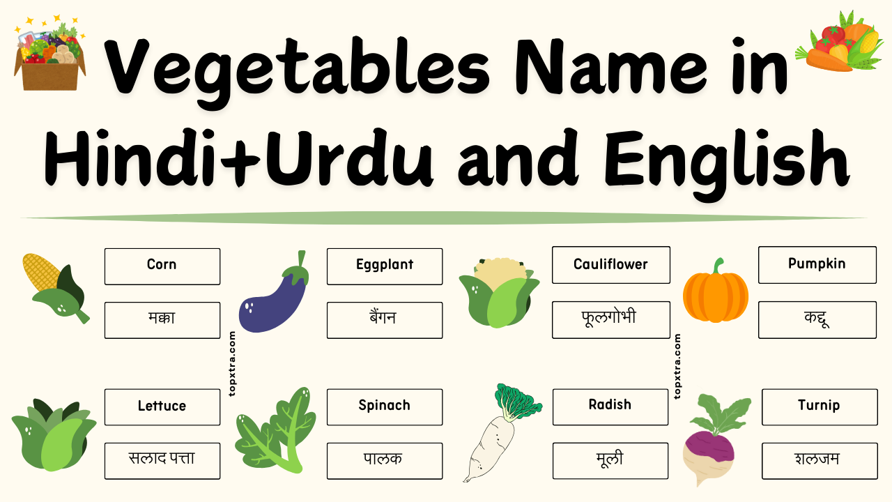 Vegetables Name in Hindi and English | Vegetables in Hindi